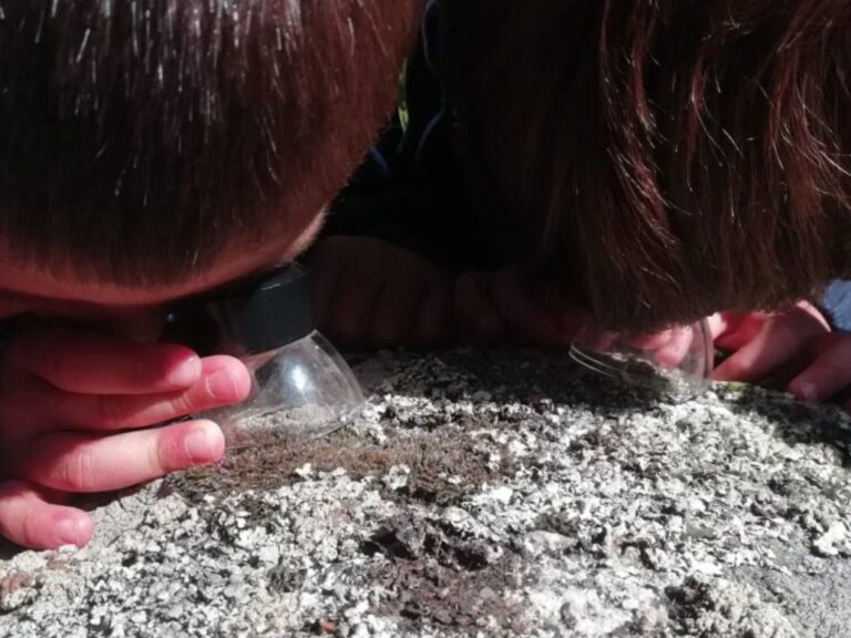 Taller geología para primaria