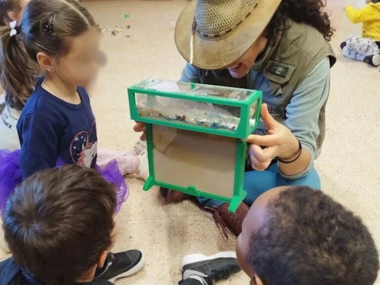 taller insectos para infantil